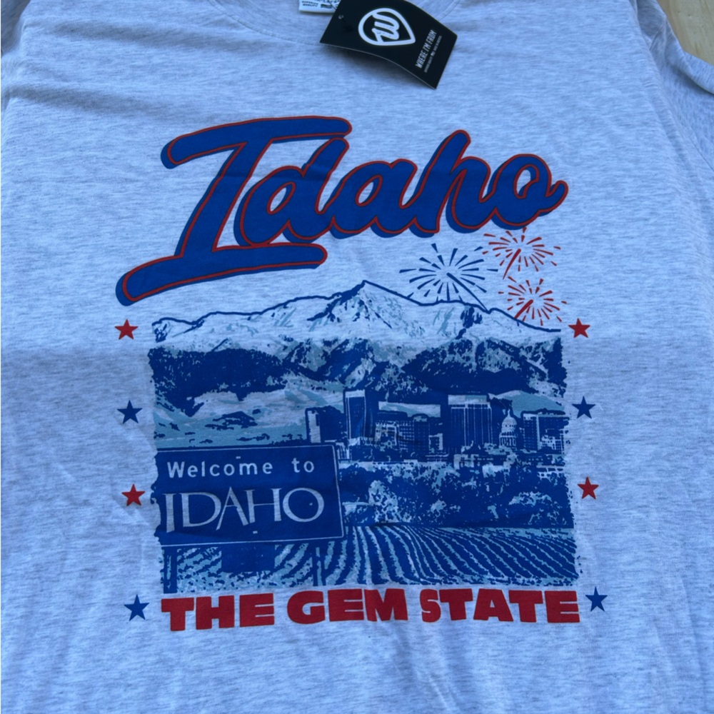 Where I'm From Idaho The Gem State Graphic T-Shirt Mens XXL Gray New